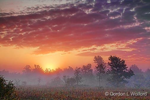 Foggy Sunrise Landscape_21190.jpg - Photographed at Smiths Falls, Ontario, Canada.